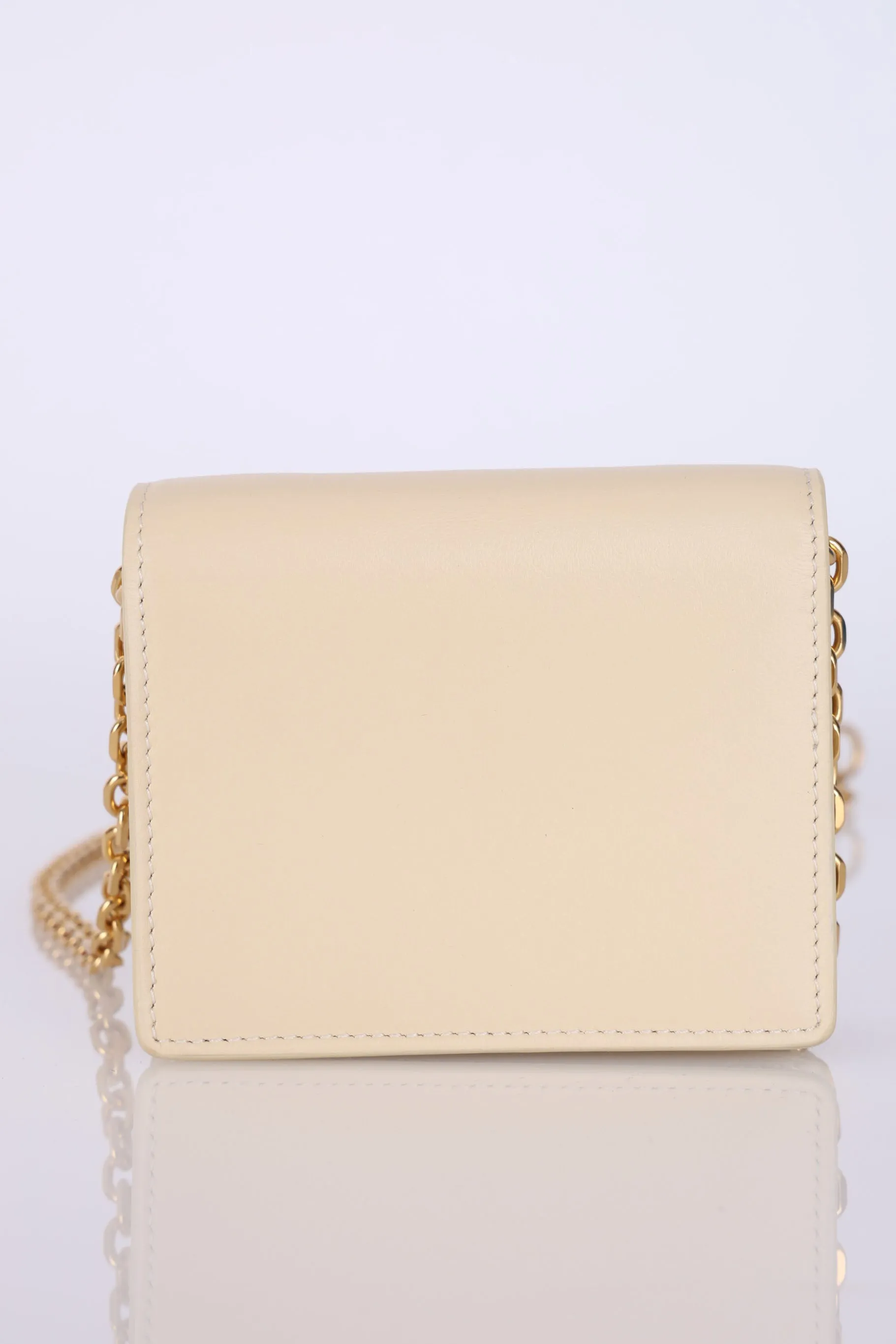 Celine Triomphe Card Holder on Chain