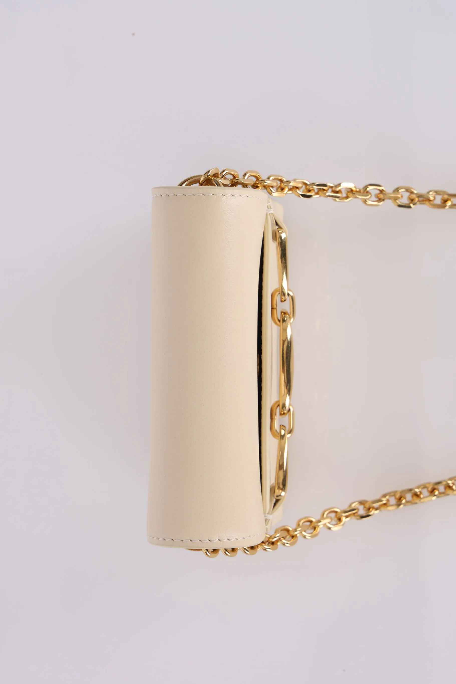 Celine Triomphe Card Holder on Chain