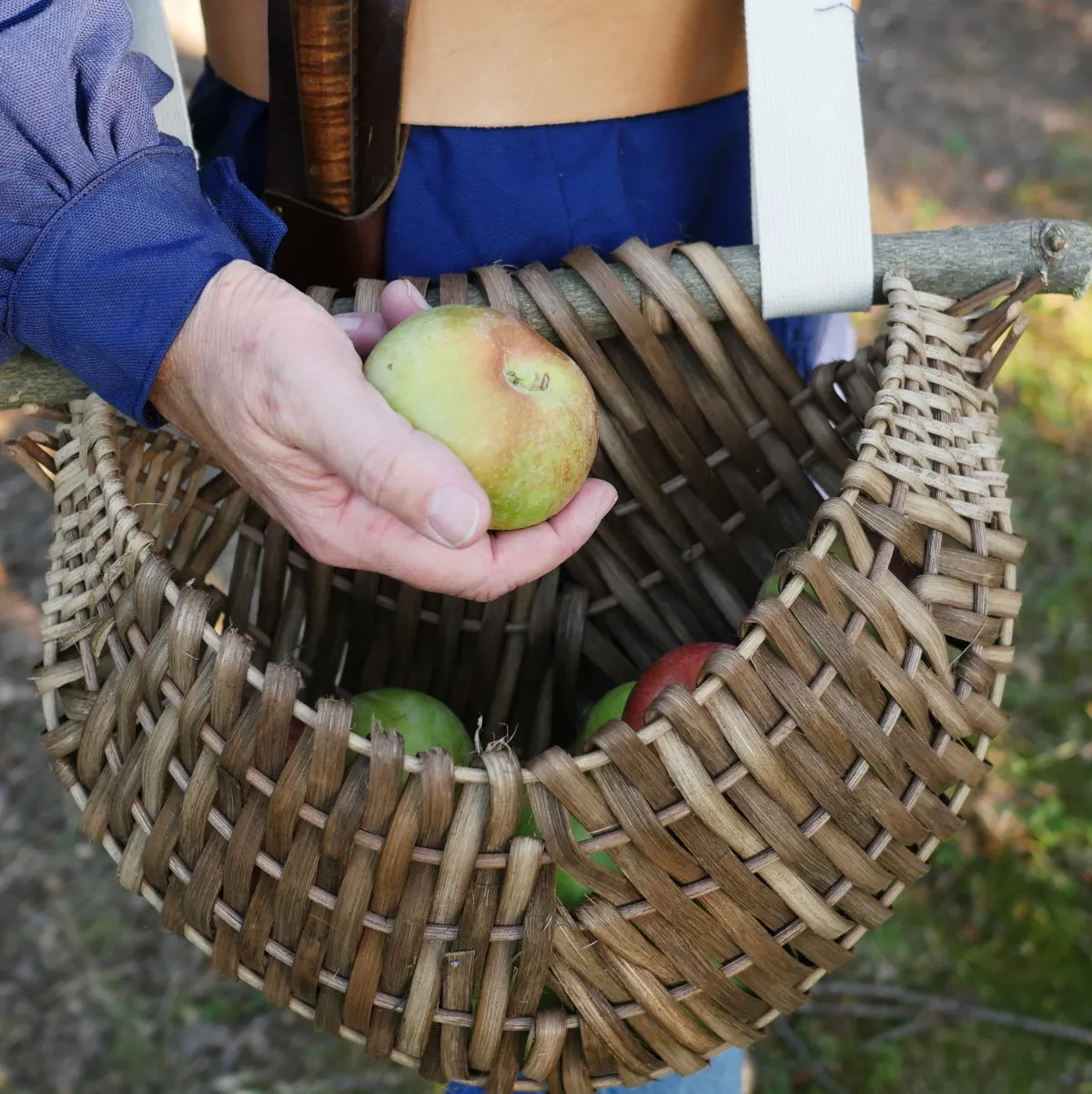 Harvester's Basket